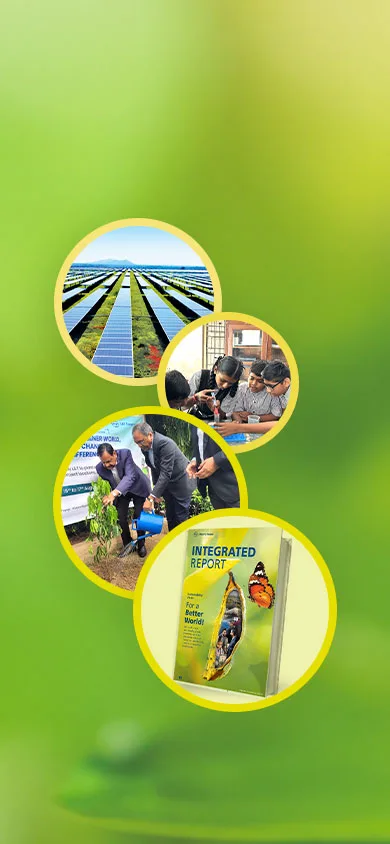 Green Business Banner