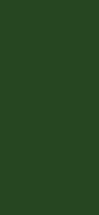 Excellence Banner