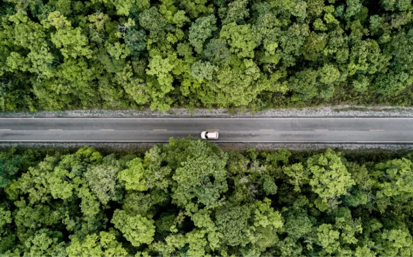 Carbon Neutrality