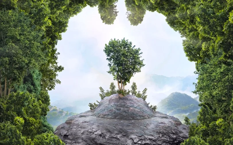 Carbon Offsets Image