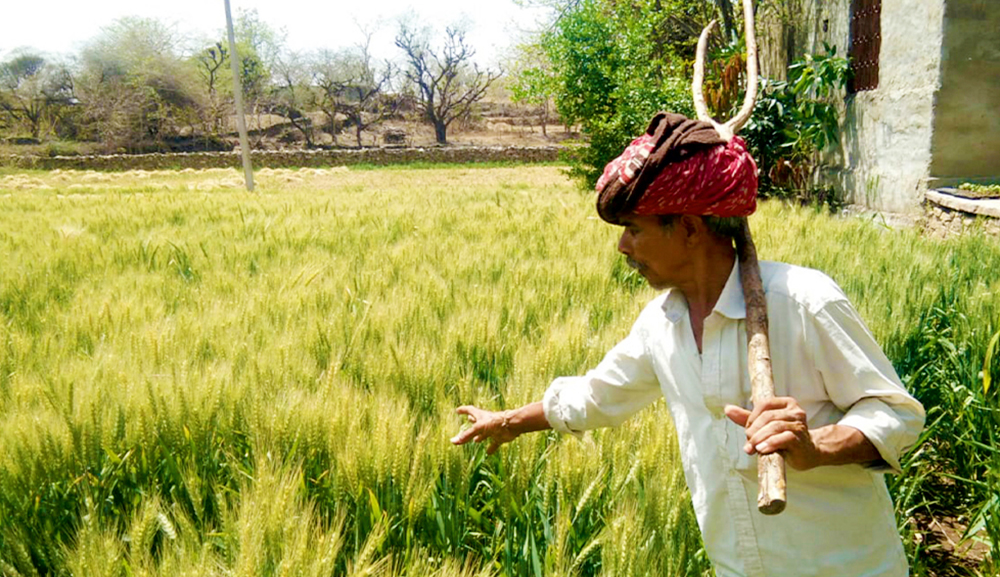 SUSTAINABLE AND CLIMATE RESILIENT AGRICULTURE Image