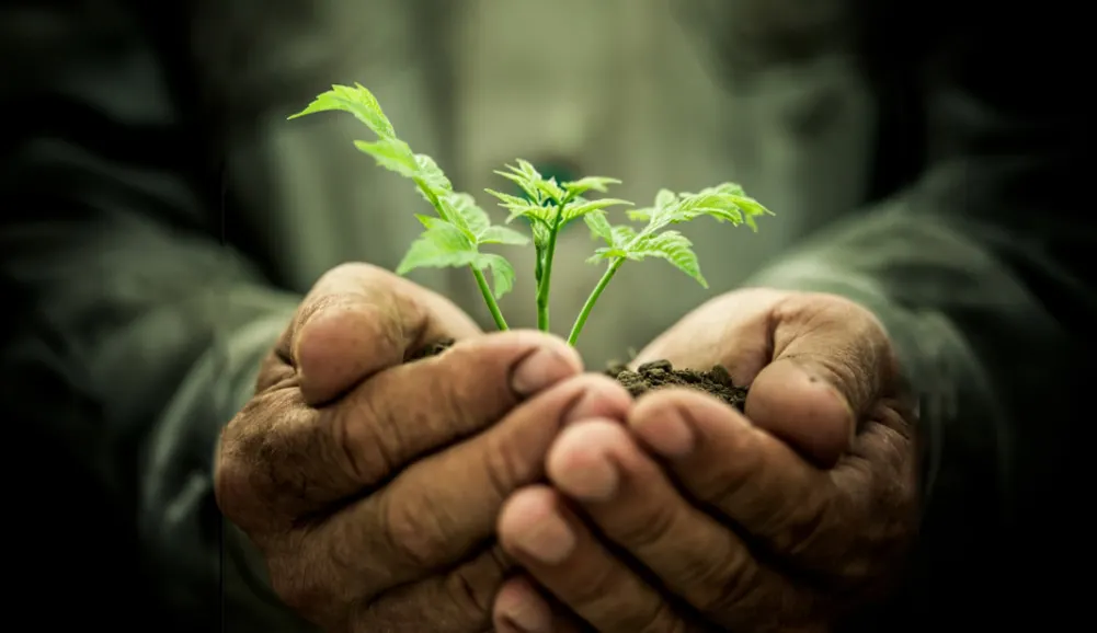 SUSTAINABLE AND CLIMATE RESILIENT AGRICULTURE Image